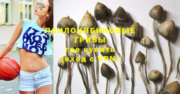 Альфа ПВП Арсеньев