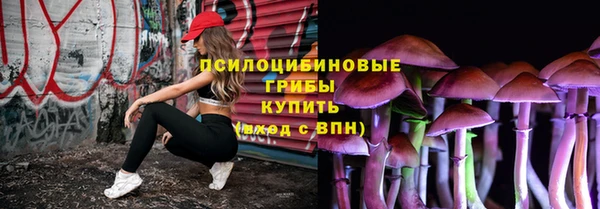 винт Переславль-Залесский