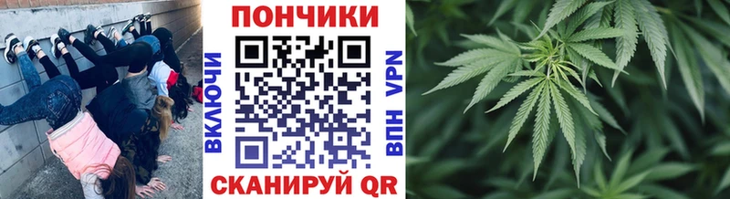 купить   Серафимович  Бошки марихуана план 